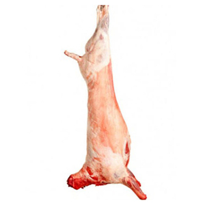Viande de mouton halal congelée de haute qualité, carcasse entière de mouton premium pour l'exportation, la vente en gros et l'industrie alimentaire - Product Image 1
