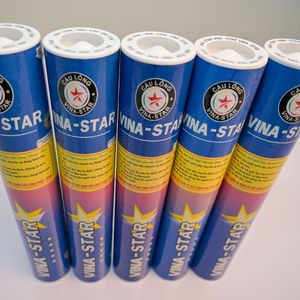 Vina-Star Cost-Effective Eco-Friendly Lightweight Badminton <b>Shuttlecocks</b> 1 Dozen Goose Feather High Durability for School - Product Image 6