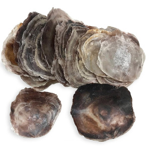 Discos de concha de capiz a granel, con borde natural, conchas planas, precio competitivo, concha marina natural para manualidades - Product Image 1
