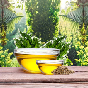 น้ำมันสกัดเย็น100% น้ำมันหอมระเหยจากมะฮอกกานีธรรมชาติบรรจุภัณฑ์25kgs และ180kgs - Product Image 3