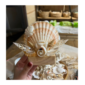 Handmade Coastal Seashell Night <b>Lamp</b> Scallop Shell Table Light Natural Decorative Bedroom <b>Bedside</b> <b>Lamp</b> for Home Interior - Product Image 2