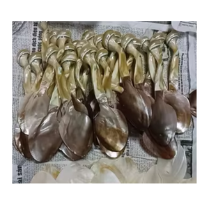 Mother of Pearl Decorative Seashell Spoon Handmade in Vietnam for Dining Tableware Wholesale Trade - Product Image 4