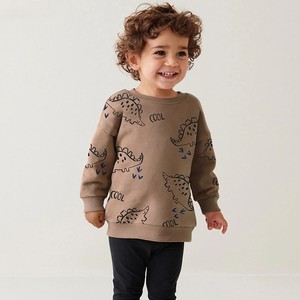Conjunto Deportivo Informal de Primavera para Niños |   Conjunto de Pantalones y Sudadera con Capucha de Algodón Transpirable Unisex, Nuevo Diseño, Traje Deportivo para Niños de Primavera |   Sudadera con Capucha de Moda - Product Image 2