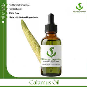 High Quality Calamus Oil Supplier Providing Bulk Essential Oil Packaging for Cosmetic Manufacturing Personal Care Fragrance - Product Image 1