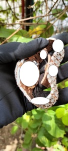 นาฬิกาข้อมือหรูหรา รุ่นลิมิเต็ด ดีไซน์ฮิปฮอป ประดับเพชรโมอิสซาไนต์ ระบบออโตเมติก ตัวเรือนสแตนเลส หน้าปัดคริสตัล สายขนาด 20 มม. ขนาด 39 มม. สำหรับทุกเพศ - Product Image 3