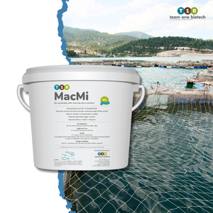 Probiotiques pour le traitement des étangs à crevettes - Product Image 1