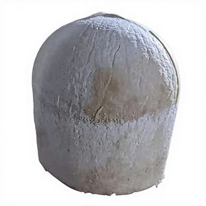 Coco joven fresco natural de Vietnam para refrescantes bebidas de jugo y deliciosa agua de coco en servicios de comedor de hoteles de lujo. - Product Image 2