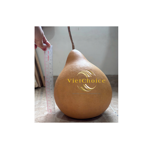 Gourdes séchées écologiques sélectionnées à la main pour l'artisanat d'instruments de musique faits à la main, taille personnalisée, couleur naturelle, durables, origine vietnamienne - Product Image 1