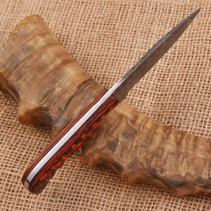 Custom Handmade Damascus Steel Skinner Knife Micarta Handle Hunting Blade 9-inch DIY Outdoor <b>Tool</b> - Product Image 2