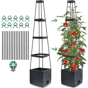 Tomate treillis planteur grandir cage connecteurs plante pieu treillis grandir plante grimpante prend en charge la Cage à fleurs - Product Image 4