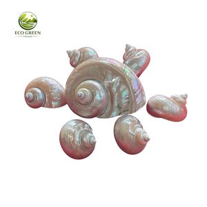 Conchas de Nácar Pulido Naturales, Temática Animal, Decoración para el Hogar de Hanoi, Peces de Acuario para Adorno, Manualidades DIY - Product Image 1