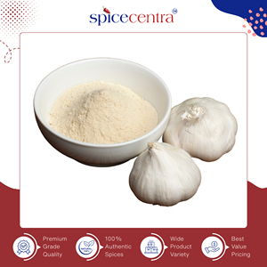 Distributeur en gros vendant de la poudre d'ail séchée brute de qualité supérieure, 100% pure, naturelle et authentique, pour la cuisine - Product Image 2