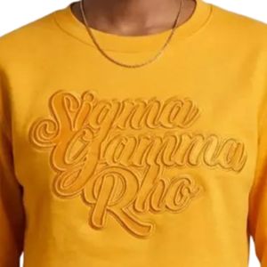 Sigma Gamma Rho Gold Cropped Crewneck Sweater Premium Knit Pullover Short Length Winter Embroidery Fashion Sweatshirt Women's - Product Image 4