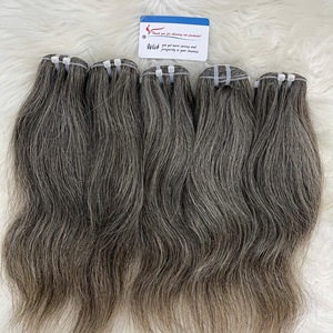 Cabello gris natural de doble capa premium, 100% cabello humano vietnamita auténtico, paquete de cabello gris de 100 gramos - Product Image 1