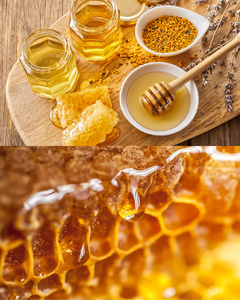 Fournisseur en gros de produits de miel naturel pour les entreprises de services alimentaires, les emballages de détail et les marchés internationaux - Product Image 6