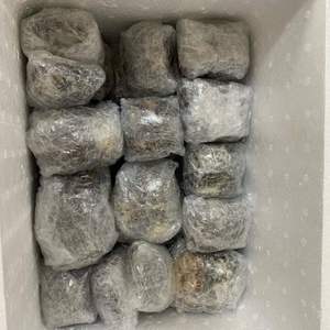 Copa de lactancia con cubierta de concha marina MOST WANTED 2026 para protección del pezón y recogida de leche - Product Image 2