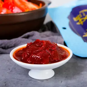 مصنع بيع بالجملة نكهة الطماطم إناء ساخن توابل هايديلاو هوت بوت حساء قاعدة سيتشوان هوت بوت بهار للسوبر ماركت