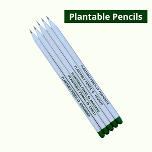 Lápiz plantable al por mayor con diseños y logotipos personalizados, lápiz especial plantable en caja de cartón, lápiz con semillas. - Product Image 4