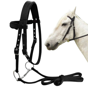 Wholesale Customizable Nylon English Saddle Horse <b>Halters</b> Various Sizes with Pewter Buckles and PP PVC Rope Bridle Accessory - Product Image 2