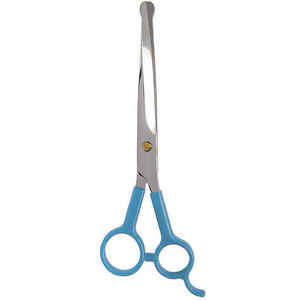 Plastic Handle Customized Stainless Steel Pet Grooming <b>Scissors</b> - Product Image 1