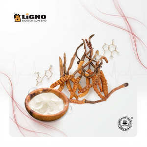 LiGNO OCS02 Polvo Premium de Cuerpo Fructífero de Ophiocordyceps Sinensis |   Alimentos Saludables de Grado Alimenticio |   Secado en Frío |   Bebida Alimentaria Funcional - Product Image 1