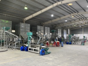 Planta Procesadora de Nueces de Anacardo 5-100 T/Día Semiautomática, Nuez de Anacardo Cruda, Grado Alimenticio, Acero Inoxidable, Fabricante Vietnam - Product Image 2