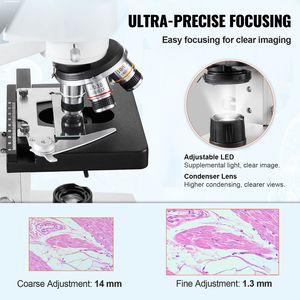 Microscopio Composto Trinoculare da Laboratorio con Ingrandimento 40X-5000X, Tavolino Meccanico a Due Livelli, Ingrandimento Totale 1000X - Product Image 3