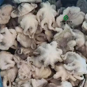 <span class=keywords><strong>Pulpo</strong></span> Congelado de Pierna Larga de Alta Calidad a Buen <span class=keywords><strong>Precio</strong></span> para Venta al por Mayor - Product Image 5