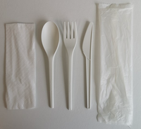 Kit de Couverts Jetables Homelink de Luxe Emballés Individuellement, Compostables, Écologiques, Biodégradables en PLA Plastique Blanc – Fourchette et Cuillère à Thé