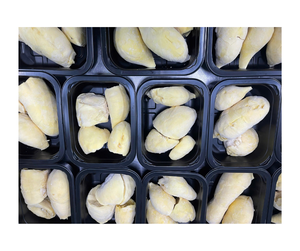 Durian surgelé, pulpe de durian naturelle pour la transformation alimentaire et les desserts, origine Vietnam, saveur premium, durian surgelé Monthong - Product Image 5