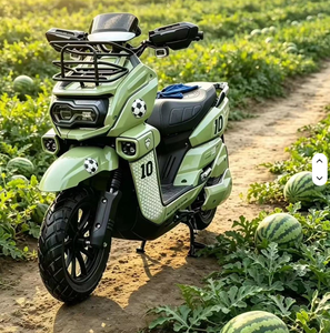 NUEVA Motocicleta Eléctrica Todoterreno Personalizada Tank 0123, Precio de Fábrica, 72V 3 kW de Alta Potencia, 70 km/h, Shark, 2 Años de Garantía - Product Image 5