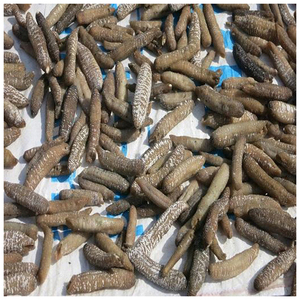 precio del pepino de mar seco - Product Image 1