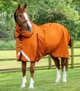 Premium Quality Horse Rugs Custom Design Soft Fleece Winter Warm Horse Rug Adjustable New Arrival Custom Color Horse Rugs - Product Image 6