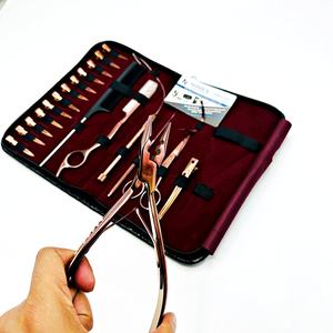 Kit d'outils d'extension de cheveux professionnel en acier inoxydable de qualité chirurgicale pince à perles multifonctionnelle en or rose sectionnement des cheveux - Product Image 2