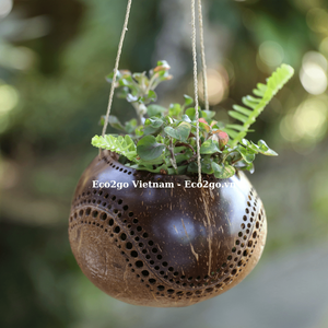 กระถางปลูกเปลือกมะพร้าวสำหรับต้นกล้า/ต้นมะพร้าวจากกะลามะพร้าวธรรมชาติและปราศจากสารเคมี100% - Product Image 6