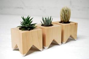 Kit de Jardinière Surélevée en Bois Tendance à Petite Capacité, Montage Facile pour Jardinage Biologique, Ferme et Serre - Product Image 2