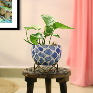Leafy Blue Petite Tabletop Planter <b>Pots</b> Decorative Indoor Flower Containers for Succulents Cacti <b>Small</b> Green <b>Plants</b> Home Office - Product Image 3