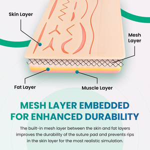 Complete Manual <b>Suture</b> Training <b>Kit</b> Medical Students Stainless Steel Reusable High-quality Surgical Instruments <b>Suture</b> Set CE - Product Image 2