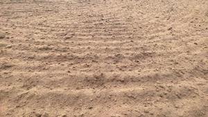 Bloque de Fibra de Coco sin Lavar, Sustrato de Coco Biodegradable y Ecológico para Jardinería, Horticultura y Paisajismo - Product Image 3