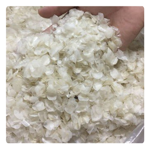 ÉCAILLES DE POISSON SÉCHÉES DU VIETNAM | SOURCE NATURELLE POUR LE COLLAGÈNE, APPROVISIONNEMENT EN VRAC - Product Image 3