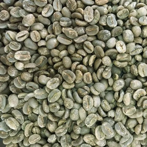 Café Vert Robusta Biologique du Vietnam Taille 16 Fourniture en Gros pour Importateurs Noir Brisure 0,1% Certifié USDA Marque TNFOOD AA+ - Product Image 1