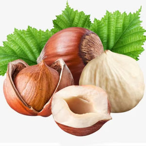 Noisettes brutes de haute qualité Super Export, saveurs naturelles, pour usage alimentaire, vente en gros - Product Image 1