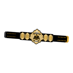 Ceinture de championnat personnalisée WWW All and One Duel, ceinture de championnat de lutte de haute qualité, article exclusif pour collectionneurs - Product Image 6