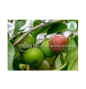 Polvo de Camu Camu Orgánico Rico en Vitamina C Natural para Reforzar el Sistema Inmunológico, Protección Antioxidante, Aumento de Energía y Salud de la Piel - Product Image 5
