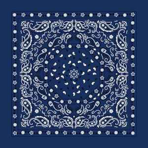Custom Silk Bandana Personalized Logo Print Silk Bandana Paisley <b>Head</b> <b>Scarf</b> Wholesale Bandanas for Men <b>Women</b> <b>Head</b> Wrap Dailywear - Product Image 1