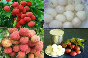 Lichi enlatado a precio competitivo fabricado en Vietnam - Product Image 6