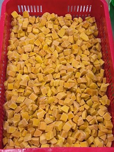 Mangues coupées surgelées de qualité supérieure pour la restauration, ingrédient de chair tropicale, emballage sous vide, conservation de l'eau en vrac pour les magasins de boissons, Vietnam - Product Image 5