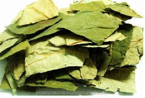 Fournisseur en vrac Nelumbo Nucifera Leaf en vrac de l'Inde - Product Image 2