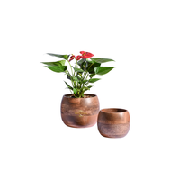Pot de plante en bois aux lignes épurées et finition naturelle, idéal pour les intérieurs minimalistes, rustiques et Japandi