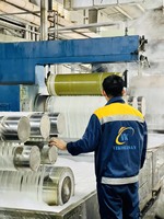Le plus grand fabricant vietnamien de fibres discontinues de polyester recyclées par 100% flocon de bouteille prix le moins cher pour le matériau de remplissage de coussin